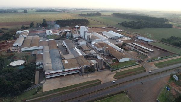 La industria láctea paraguaya sigue creciendo pese al COVID-19
