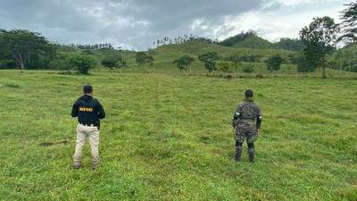 En lo que va de año: Este país ha destruido 17 pistas clandestinas de aterrizaje usadas por narcotraficantes