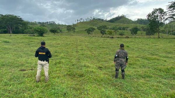 En lo que va de año: Este país ha destruido 17 pistas clandestinas de aterrizaje usadas por narcotraficantes