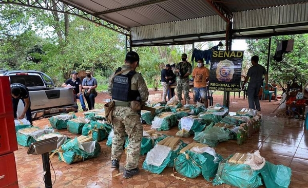 Diario HOY | Amambay: hallan más de una tonelada de marihuana oculta en fosas