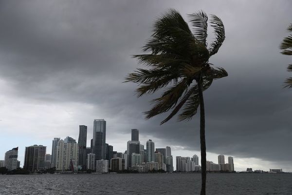 Se forma tormenta tropical Mindy en el Golfo de México y se acerca a Florida - Mundo - ABC Color