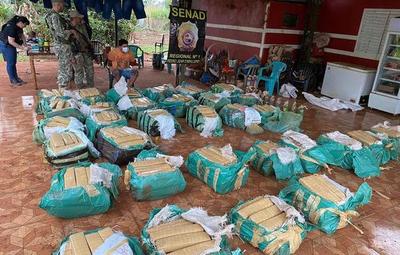 Incautan más de una tonelada de marihuana oculta en fosas
