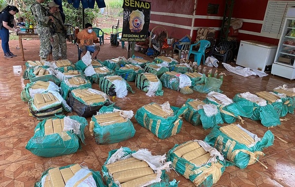Senad incauta más de una tonelada de marihuana oculta en fosas