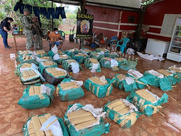Incautan más de una tonelada de marihuana oculta en fosas - Megacadena — Últimas Noticias de Paraguay
