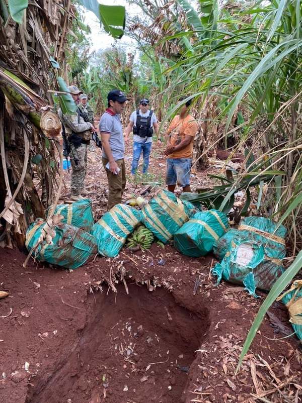 PJC: Incautan más de 1000 kilos de marihuana, oculto entre plantaciones de una finca | Ñanduti