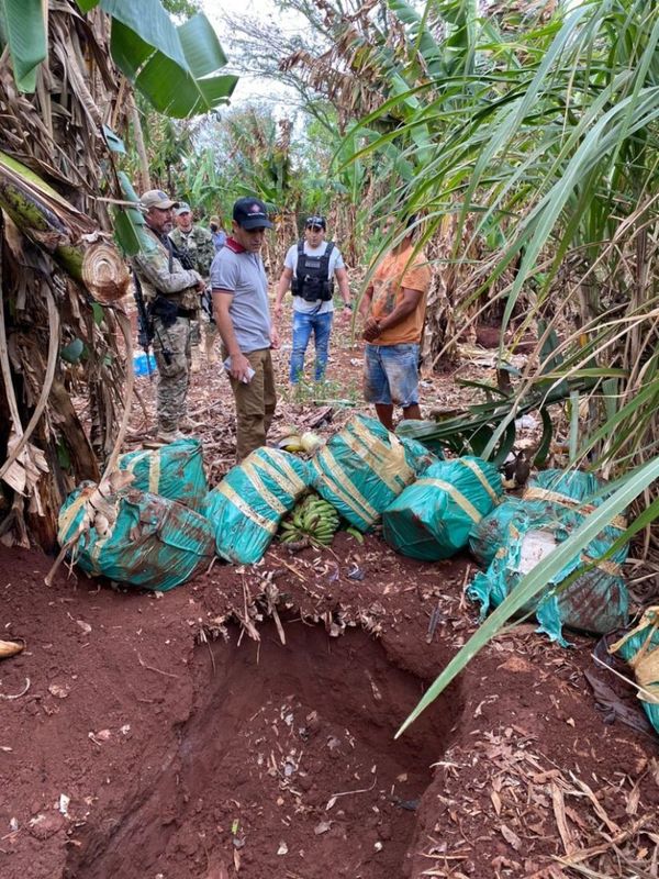 Incautan más de un tonelada de marihuana prensada oculta en fosas