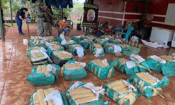 Incautan más de 1000 kilos de marihuana enterrados en fosas – Prensa 5