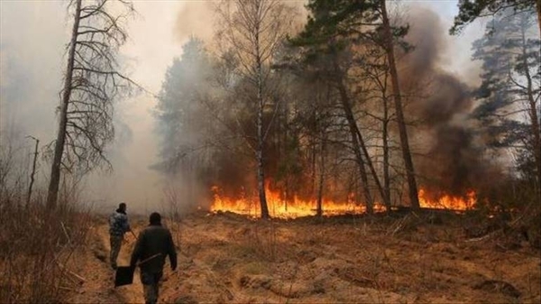Diario HOY | Cientos de evacuados por incendio forestal en el sur de España