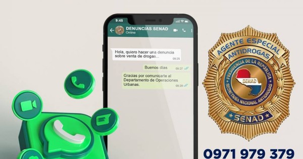 La Nación / WhatsApp de Senad para denunciar a narcos recibió 800 mensajes en un día