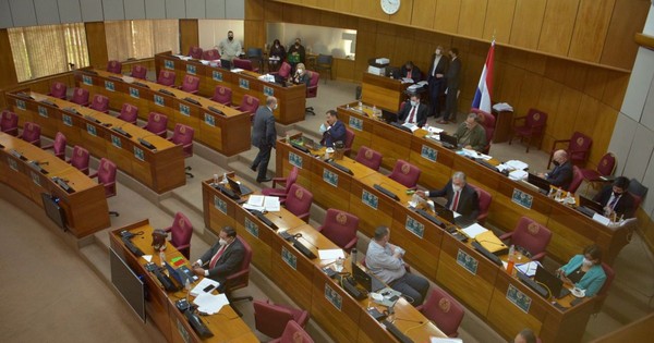 La Nación / Senado posterga tratamiento de ley que penaliza invasiones