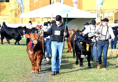 Expo Ganadera invita a muestra de la mejor genética del país y presentación de 1.800 animales - MarketData