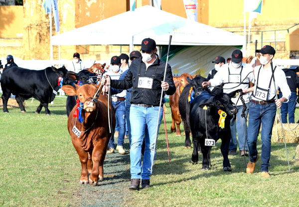 Expo Ganadera invita a muestra de la mejor genética del país y presentación de 1.800 animales - MarketData