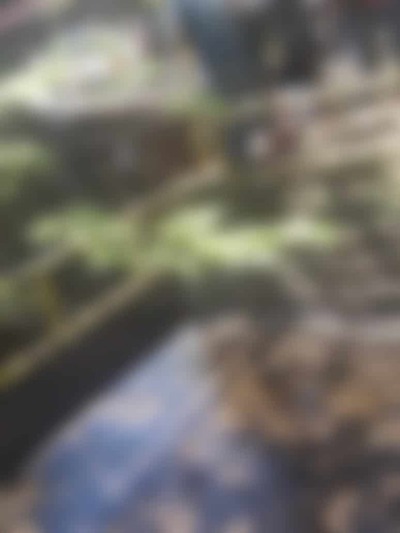 Reportan presunto suicidio en puente de Lambaré | Ñanduti