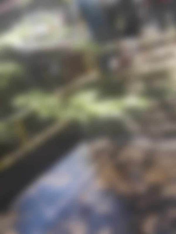 Reportan presunto suicidio en puente de Lambaré | Ñanduti