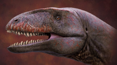 Descubren dinosaurio con dientes de tiburón más grande que un T. Rex
