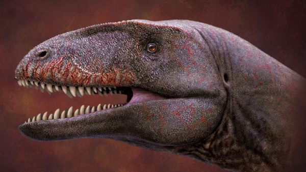 Descubren dinosaurio con dientes de tiburón más grande que un T. Rex