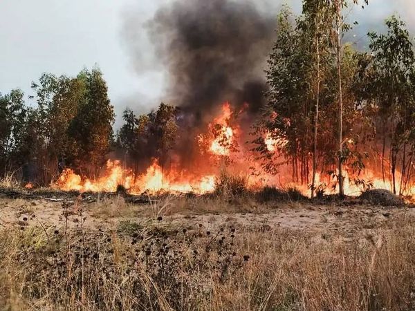 En agosto hubo más de 27.000 focos de calor en solo una semana - Nacionales - ABC Color