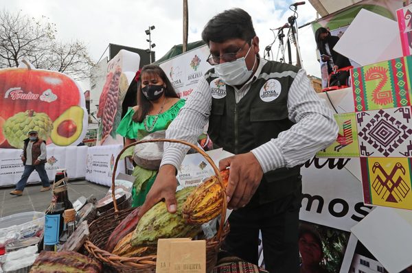 Las bondades de la Amazonía boliviana se exponen en una feria en La Paz - MarketData