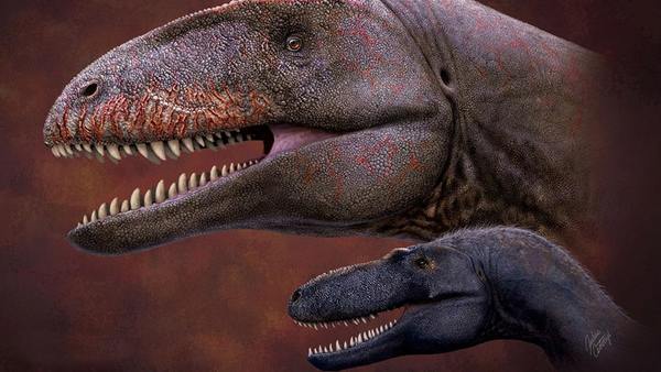 Encuentran los restos del dinosaurio que dominó el mundo antes que el ‘Tyrannosaurus rex’ | Ñanduti