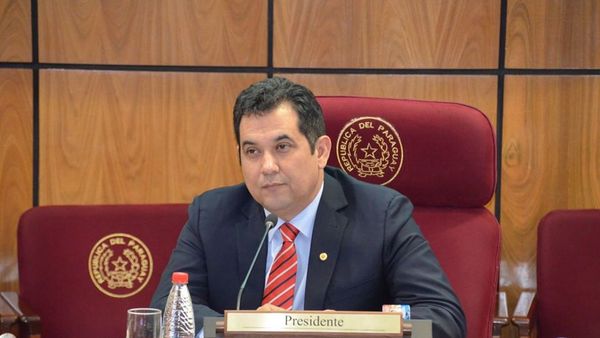 Senador es denunciado por ejercer tráfico de influencias
