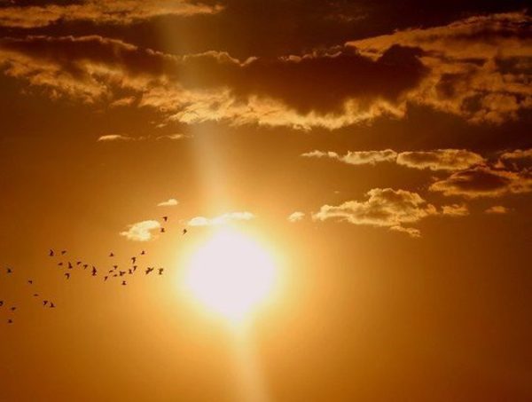 Aumento de las temperaturas durante el fin de semana · Radio Monumental 1080 AM