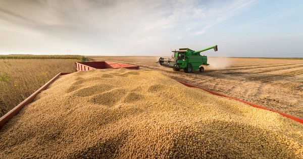 La Nación / Ante riesgo de fenómeno La Niña igual sembrarán, señala productor sojero