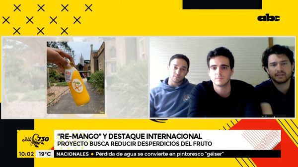 “ReMango” buscar reducir desperdicios del tradicional fruto - A la gran 730 - ABC Color
