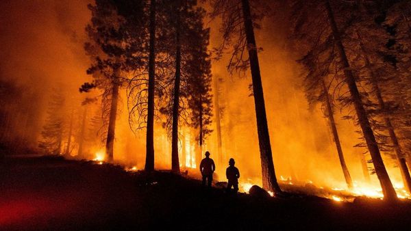 Un incendio calcina al menos 80 hectáreas en los Andes de Perú