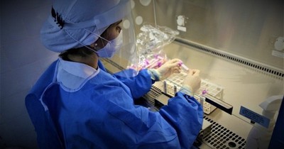 La Nación / Reportan 71 positivos y 8 fallecidos por covid