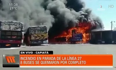 Incendio en parada de la Línea 27 afectó a nueve buses | Telefuturo