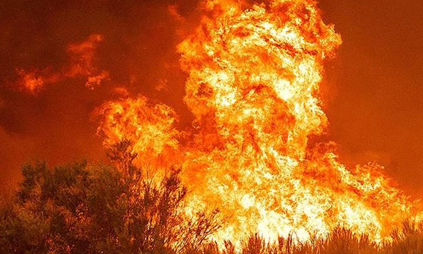 Al menos unas 80 hectáreas fueron calcinadas en los Andes de Perú - OviedoPress