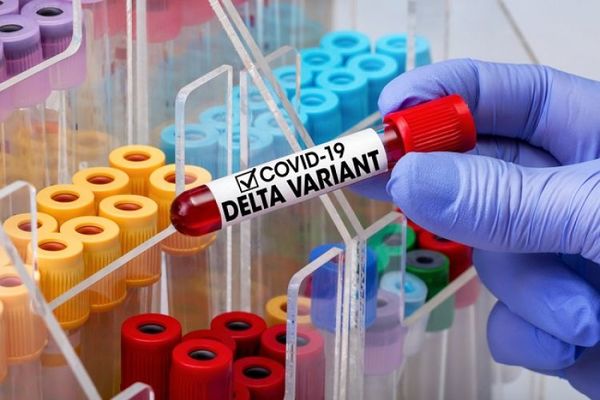 Salud reporta 58 nuevos casos de la variante Delta