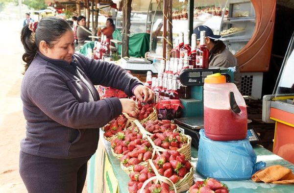 Areguá ofrece Expo Frutilla para visita el fin de semana - Nacionales - ABC Color