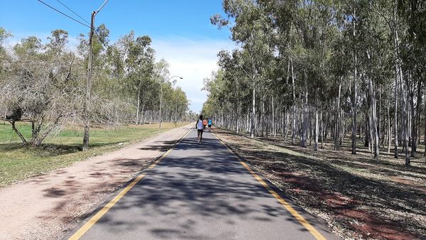 Sábado con ambiente cálido a caluroso, anuncia Meteorología