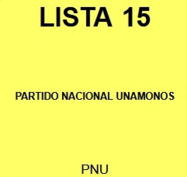 Conociendo las candidaturas para la Junta Municipal