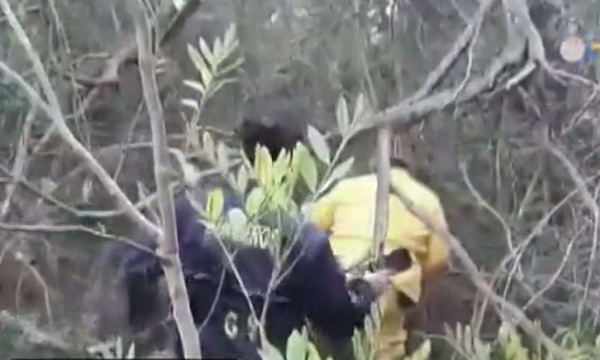 San Pedro: Anciana se pierde en un monte por ocho horas - OviedoPress