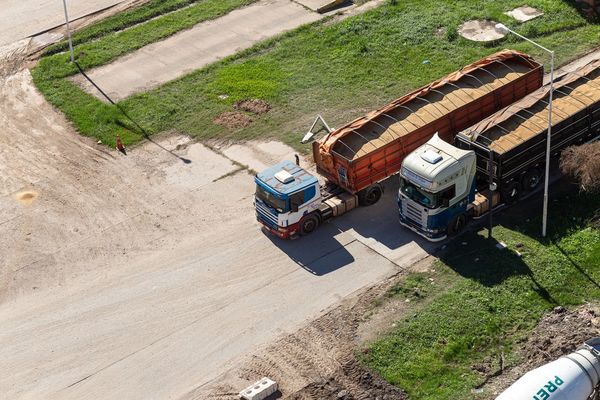 Industrias aceiteras son generadoras de oportunidades laborales