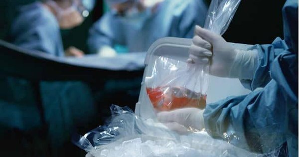 La Nación / Donación de órganos y tejidos: una lucha diaria para salvar vidas