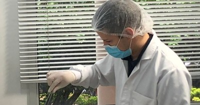 La Nación / Capacitan a laboratorios en buenas prácticas para facilitar el comercio agropecuario