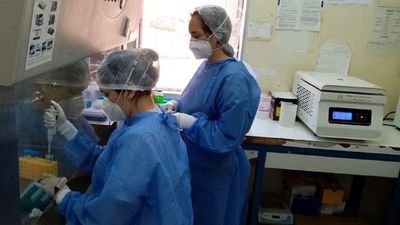 Covid-19: Reportan 50 nuevos casos y 4 muertes