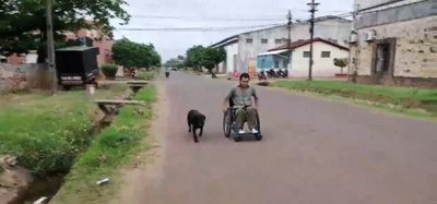 Crónica / Perrita cuida a su dueño en silla de ruedas