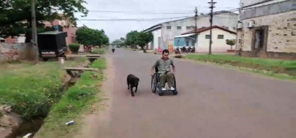 Crónica / Perrita cuida a su dueño en silla de ruedas