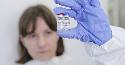 La Nación / Relación entre covid y la inmunidad natural