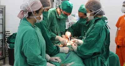 La Nación / Hoy se conmemora el Día Nacional del Donante de Órganos y Tejidos