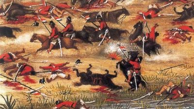 Batalla de Acosta Ñu: Historiador brasileño sostiene que la quema de pastizales fue “accidental” | Ñanduti