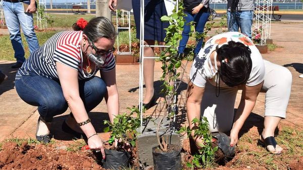 Arcos Santa Rita, nuevo atractivo en Paseo de los Orígenes de Encarnación