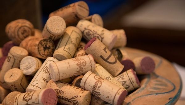 Expo Vino casi llegó a los 1.000 vinos descorchados