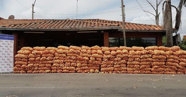 La Nación / Productores de cebolla se movilizarán este martes contra el contrabando