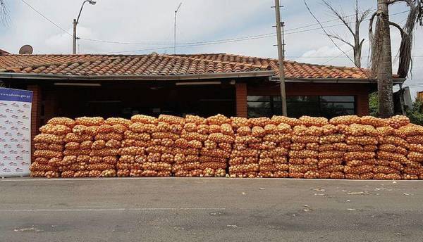 Productores de cebolla realizarán movilización este martes – Prensa 5