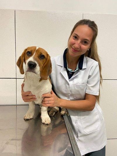¿Cuáles son las razas de perros más propensas a infecciones del oído? - Mascotas - ABC Color